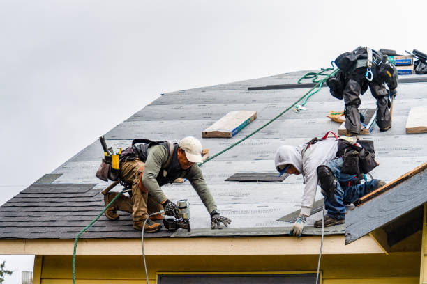 Professional Flat Roof Repair technician working in Castile, NY